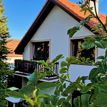 Appartamento Sulekova 52A Bratislava Esterno foto