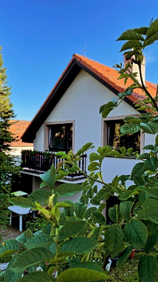 Appartamento Sulekova 52A Bratislava Esterno foto